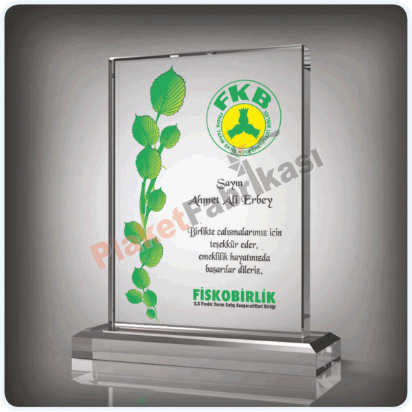 Kristal Plaket KP 341