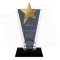 Metal yıldızlı Kristal Plaket 