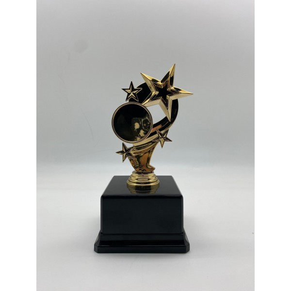 Başarı Ödül Kupası Başarı Ödül Kupası